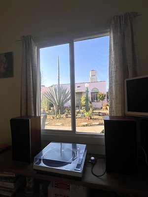 IMG 0065 Large